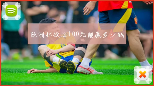 欧洲杯投注100元能赢多少钱