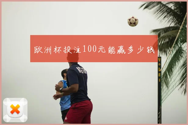 欧洲杯投注100元能赢多少钱