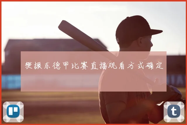樊振东德甲比赛直播观看方式确定