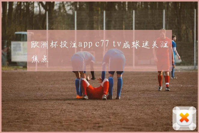 欧洲杯投注app c77 tv成球迷关注焦点