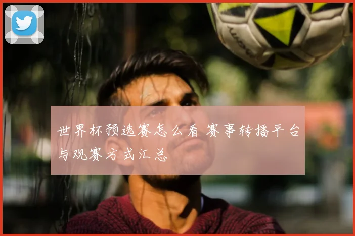 世界杯预选赛怎么看 赛事转播平台与观赛方式汇总
