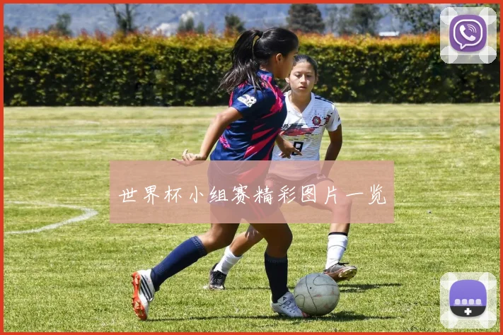 世界杯小组赛精彩图片一览