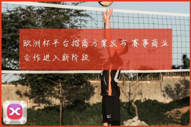 欧洲杯平台招商方案发布 赛事商业合作进入新阶段