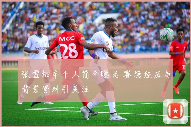 张雪机车个人简介曝光 赛场经历与背景资料引关注