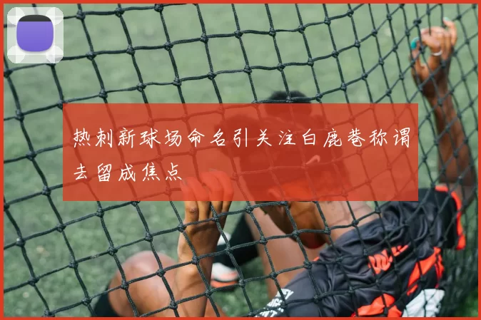 热刺新球场命名引关注白鹿巷称谓去留成焦点