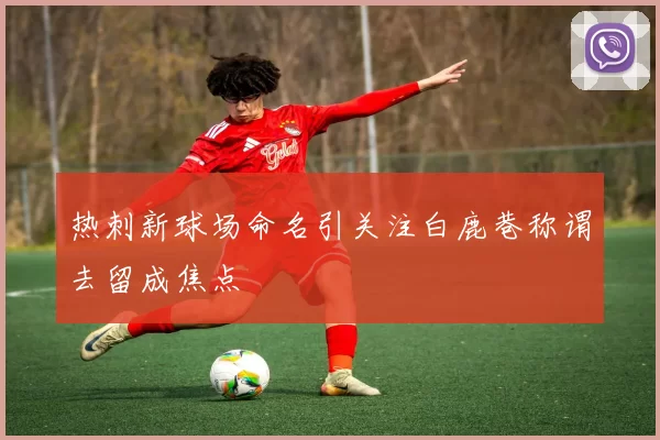 热刺新球场命名引关注白鹿巷称谓去留成焦点
